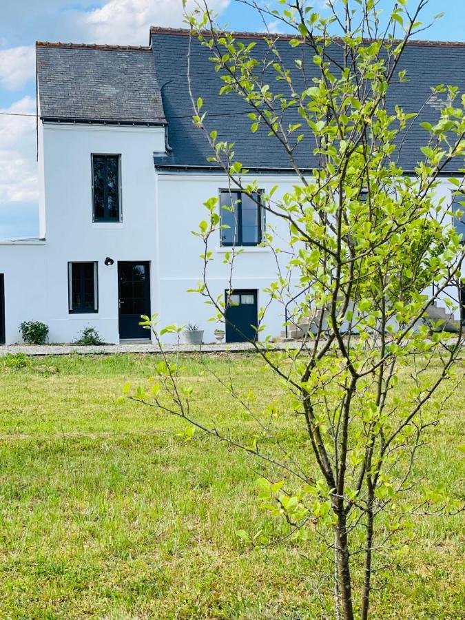 La Grange Du Pigeonnier Authenticity And Gentleness 10 Minutes From Tours Villa La Riche Exterior foto